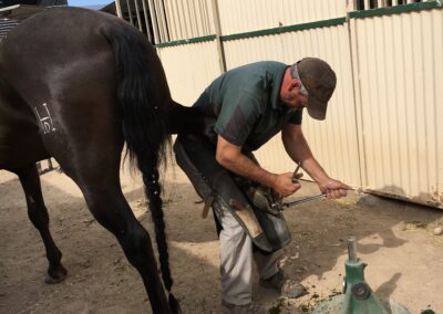 horseshoeing
